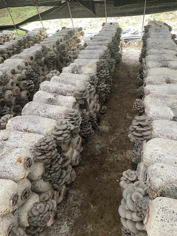 养殖基地